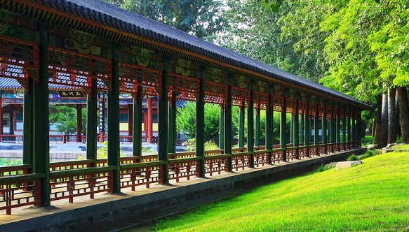 Summer Palace and Olympic Sites Half Day Tour