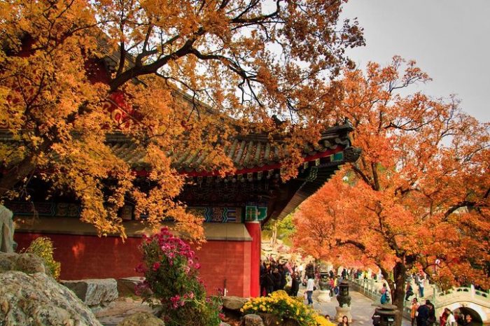 Private Round Trip Transfer to Fragrant Hill in Beijing