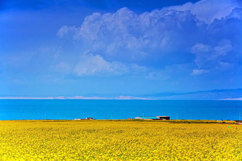 Private Independent Tour to Qinghai Lake and Ta’er Monastery from Xining