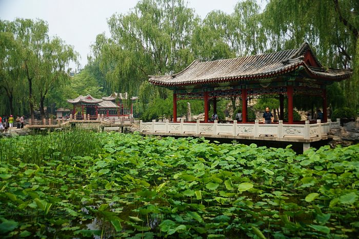 Beijing Ritan Park Night Walking Tour including Flower Arranging Class and Dinner