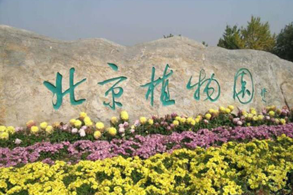 Private Garden Tour: The Summer Palace and Beijing Botanical Garden