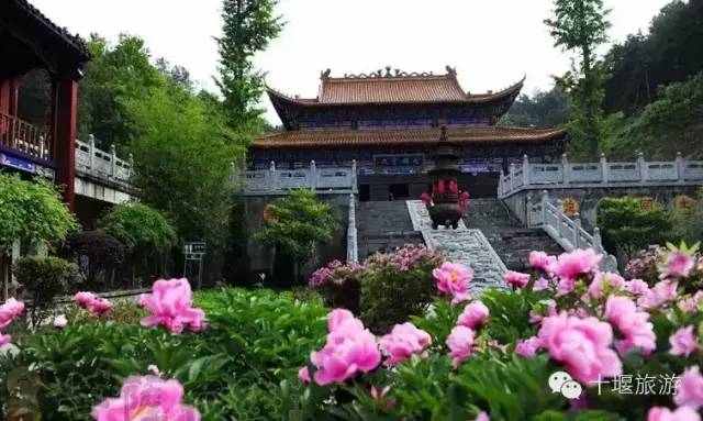 Private Day Tour to Zhongyue Temple and Shaolin Temple from Luoyang