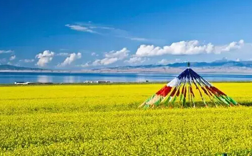 Private Xining Day Trip to Qinghai Lake with Flexible Departure Time