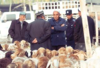 Private Day Tour to Kashgar Livestock Market and Sunday Bazaar