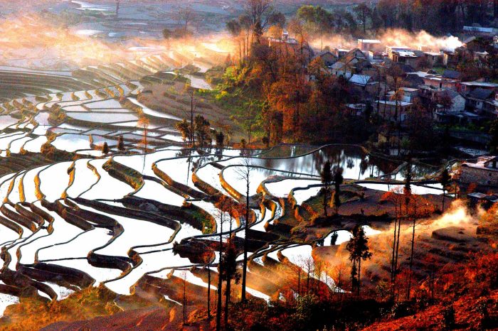 2-Day Private Tour to Stone Forest and Yuanyang Rice Terrace from Kunming