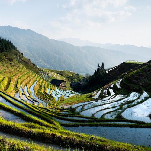 3-Day Private Tour from Shanghai by Air:Guilin, Longji Rice Terrace and Yangshuo