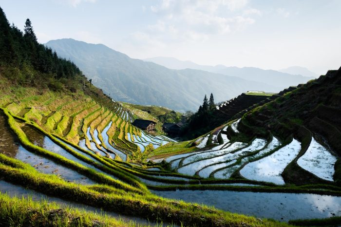 3-Day Private Tour from Shanghai by Air:Guilin, Longji Rice Terrace and Yangshuo