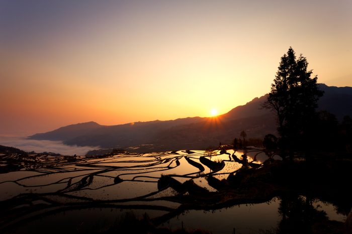 2-Day Private Photography Tour to Yuanyang Rice Terrace from Kunming