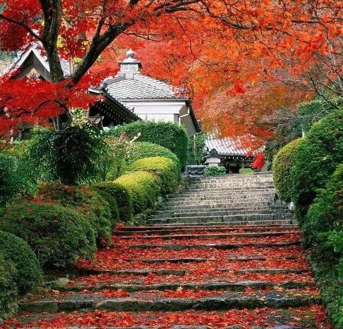 Beijing Private Tour to Summer Palace and Fragrant Hill with Cable Car Ride