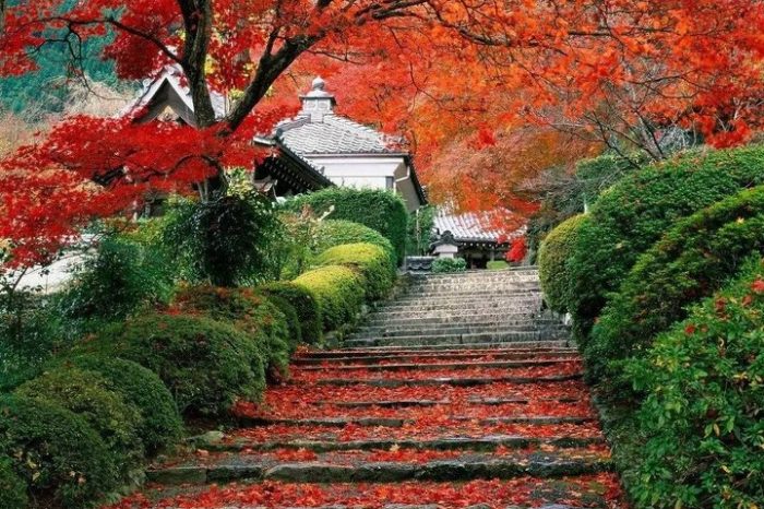 Beijing Private Tour to Summer Palace and Fragrant Hill with Cable Car Ride