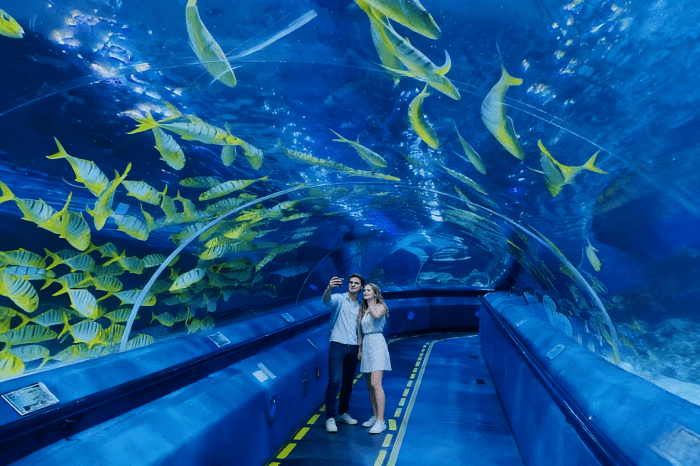 All Inclusive Private Tour of Beijing Zoo, Beijing Aquarium and Hutong