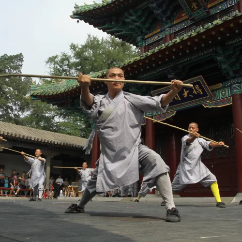 2 Day Tour to Shaolin Temple and Longmen Grottoes from Shanghai by Bullet Train