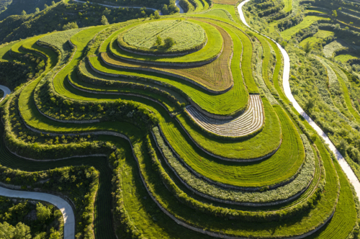 12 Days Hong Kong to Beijing Tour with Rice Terraces, Pandas, Terracotta & Great Wall