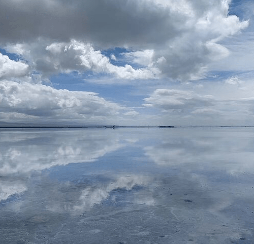 Private Day Tour to Qinghai Lake and Chaka Salt Lake from Xining