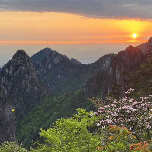 Best of Hangzhou: A Comprehensive Tour of the City’s Top Sights