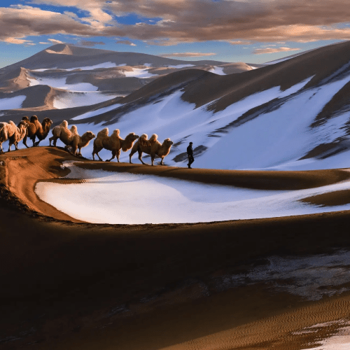 Urumqi: 8-Day Xinjiang Tour with Kanas Lake and Hemu Village