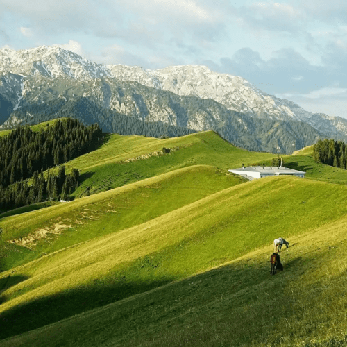 Urumqi: 8-Day Private Tour to Sayram Lake and Yining