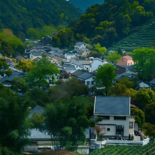 Hangzhou: Longjing Village Tea Picking and Tasting Tour