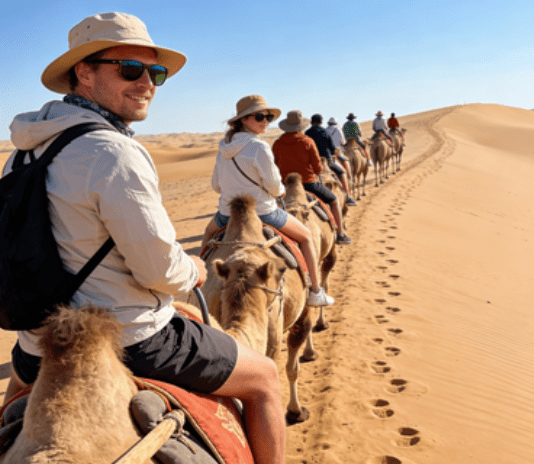 5 Days Ningxia Discovery Tour from Yinchuan to Zhongwei Shapotou