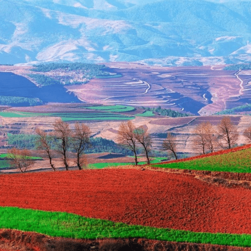 Private Dongchuan Red Land Sightseeing Day Tour from Kunming