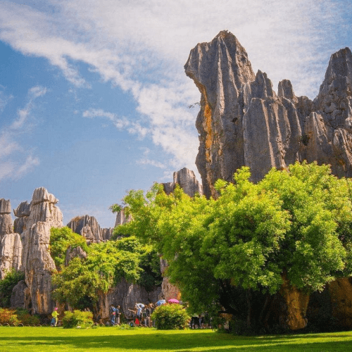 Private Full-Day Tour from Kunming: Stone Forest and Golden Temple
