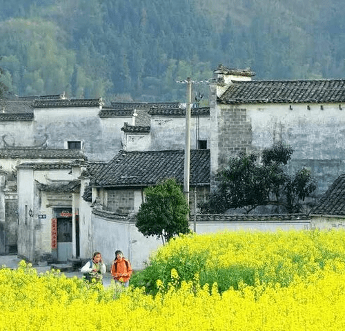 2-Day Tour Private Huangshan Yellow Mountain Tour from Shanghai