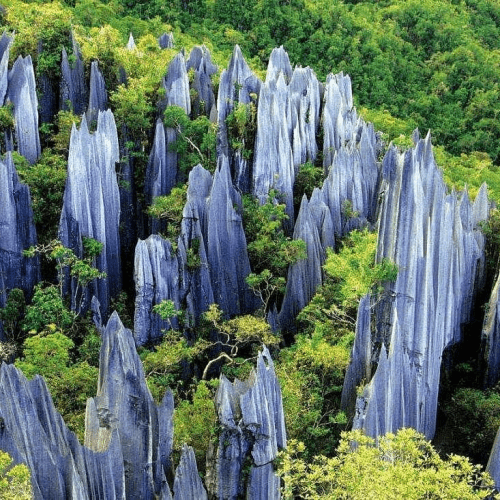Kunming Private Tour to Stone Forest&Jiuxiang Cave with Boat Ride