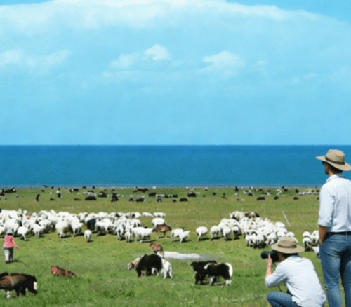 19 Days Northern Xinjiang Gansu and Qinghai Tour