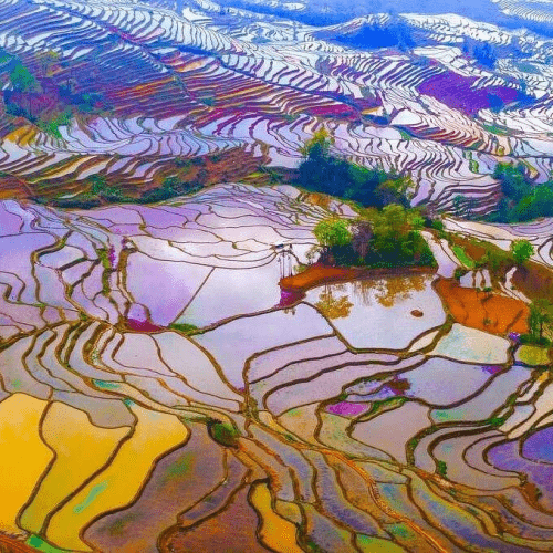 2-Day Private Photography Tour to Yuanyang Rice Terrace from Kunming