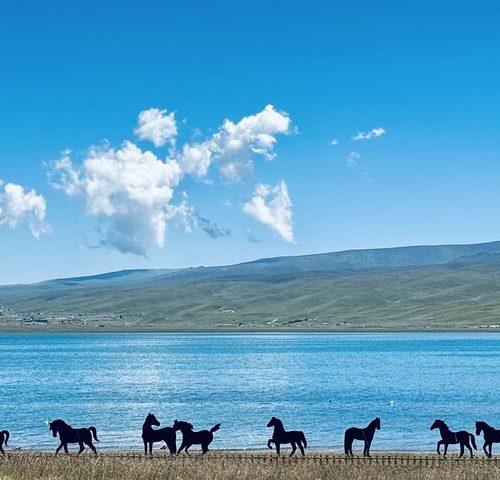 Private Day Trip to Ta’er Monastery and Lake Kokonor