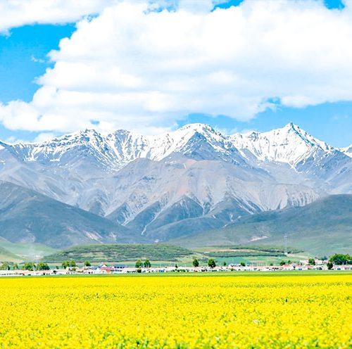 3 Days Qinghai Tour: Qinghai Lake, Chaka Salt Lake & Ta’er Monastery