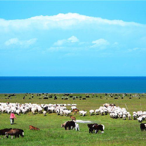 19 Days Northern Xinjiang Gansu and Qinghai Tour