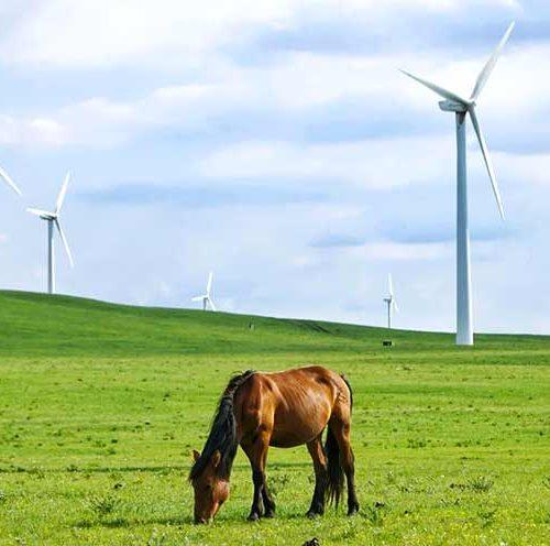 5 Days Classic Inner Mongolia Tour – Green Grassland & Golden Desert