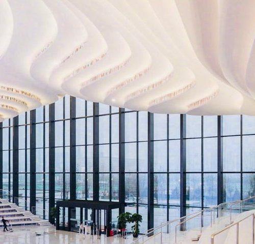 Private Tianjin Shore Excursion to Binhai Library and Shopping