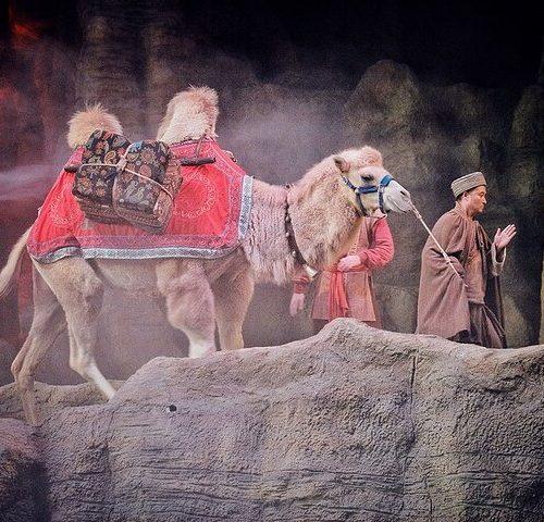 Silk Road Show:Legend of Camel Bell Includes Round-trip Transfers