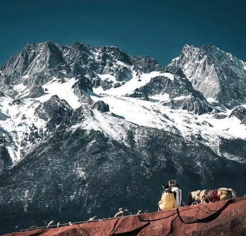 Lijiang to Shangri-La Scenic Drive Tour with Tiger Leaping Gorge