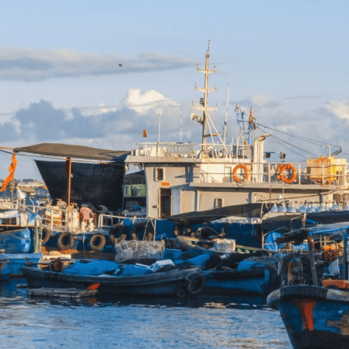 Authentic Fishing Village Tour with Great Seafood Lunch & Relaxing Beach Time