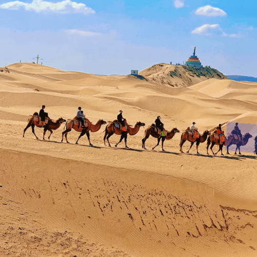 Inner Mongolia Hohhot 1Day Kubuqi Desert (Whistling Dune Bay)Tour
