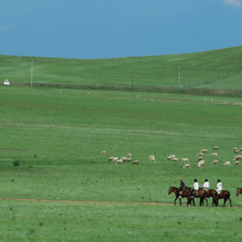 Inner Mongolia 2 Full Days Tour to Grassland and Hohhot
