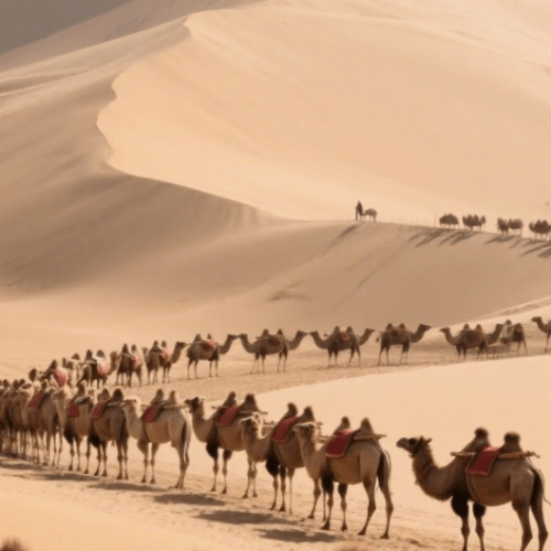 Private Day Tour to Kubuqi Desert from Hohhot with Pick Up