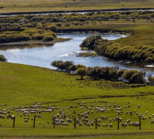 6 Days Hulunbuir Inner Mongolia Trip