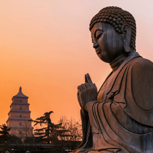 Private Big Wild Goose Pagoda Buddhism Walking Tour